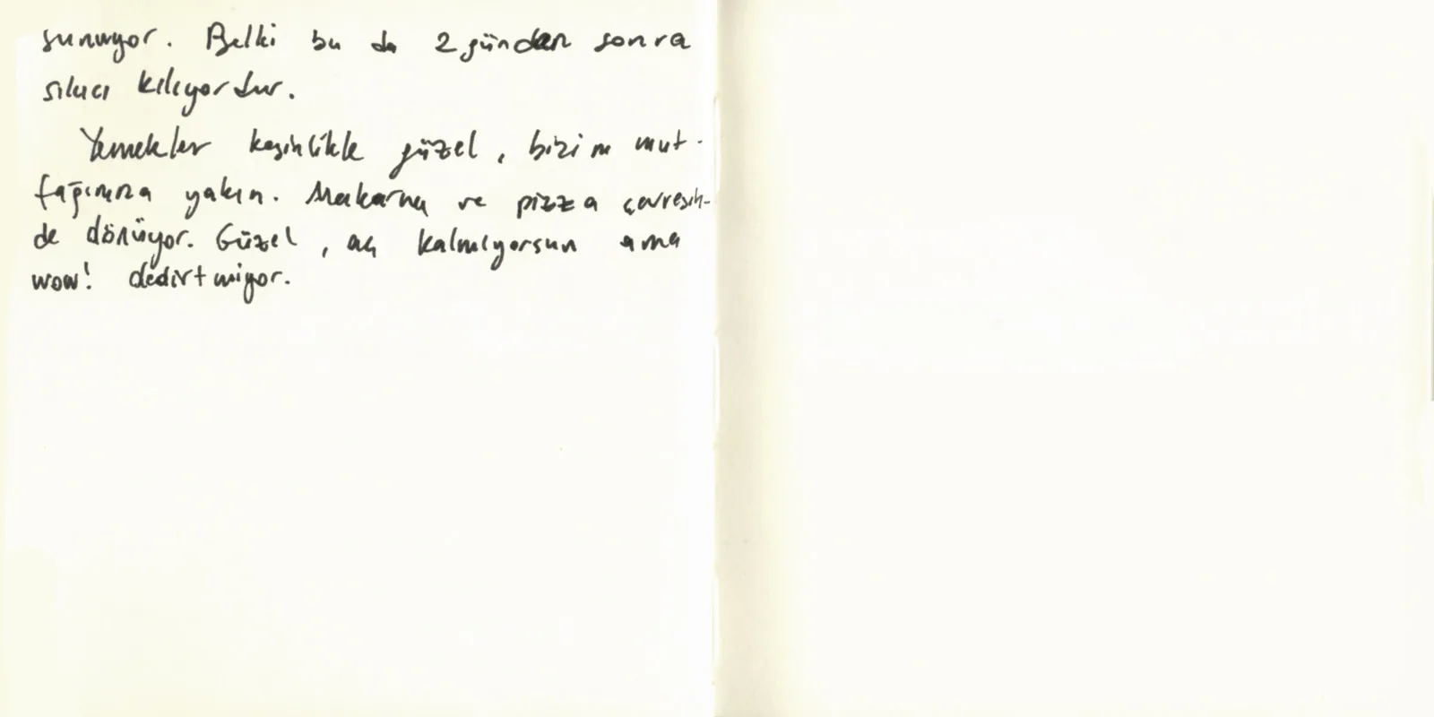 İtalya Seyahatim, sayfa 37: Son sayfa — yemekler üzerine